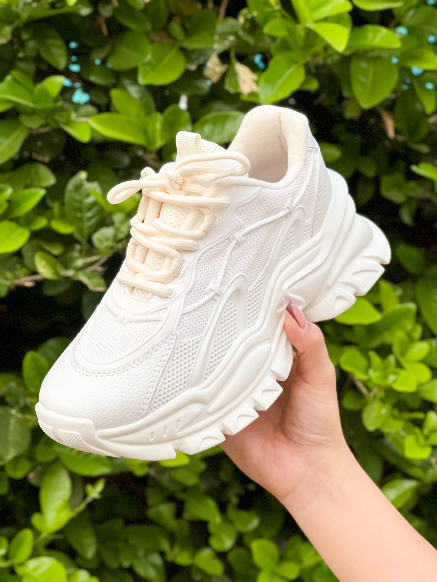 👉🤩TENIS CHARLOT🤩👈