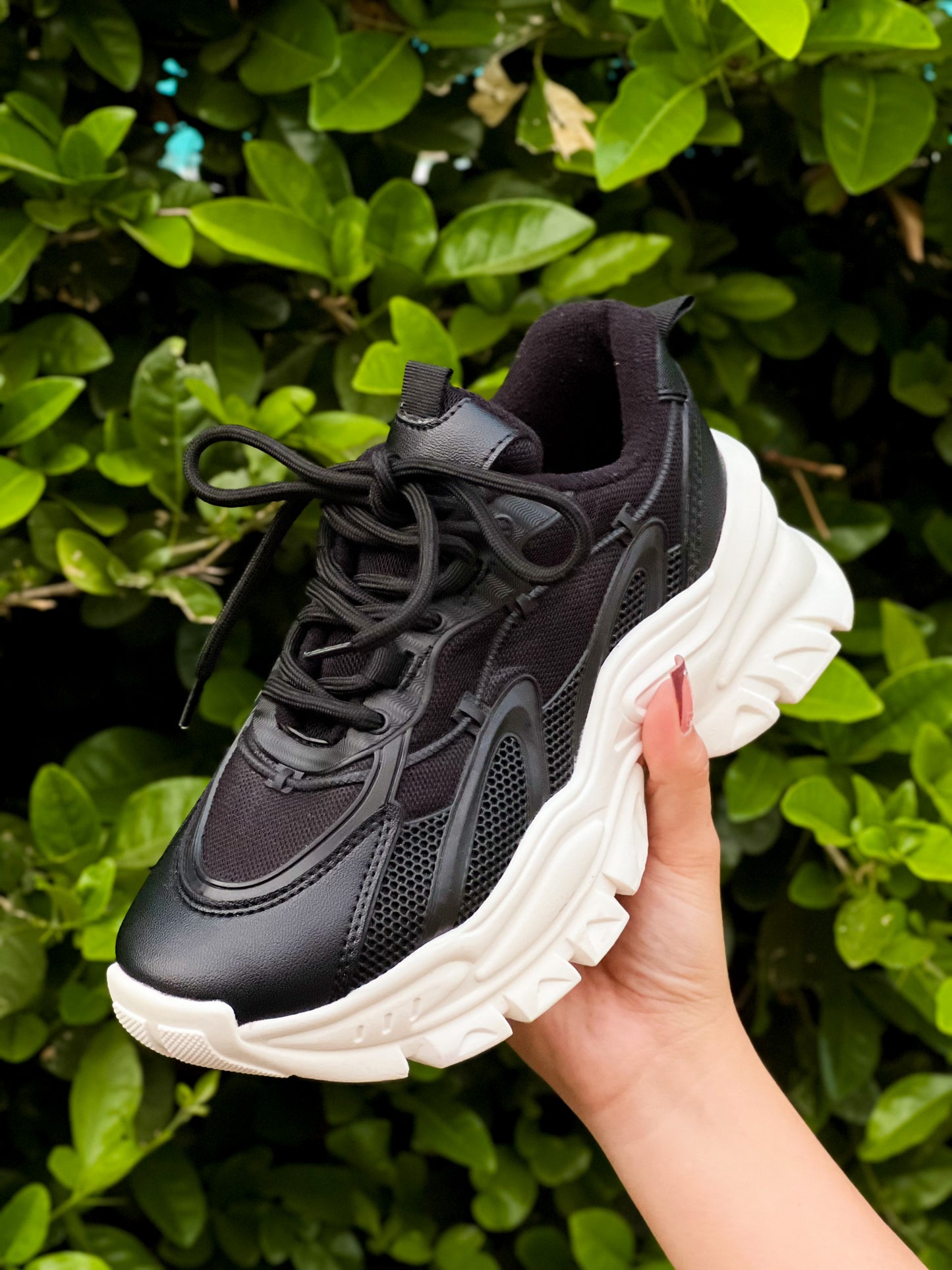 👉🤩TENIS CHARLOT🤩👈