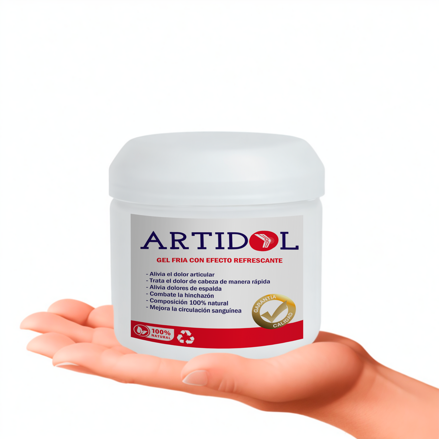 ARTIDOL