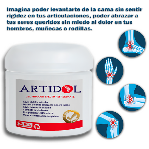 ARTIDOL