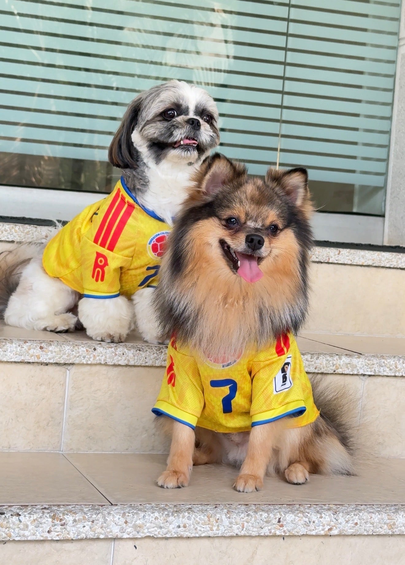 CAMISA COLOMBIA PARA PERRITOS