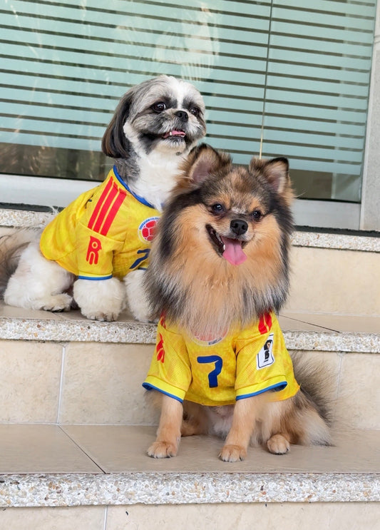 CAMISA COLOMBIA PARA PERRITOS